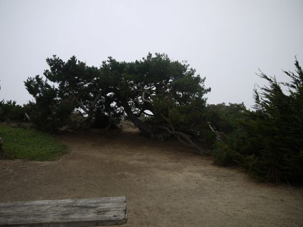 Sunset State Beach CG