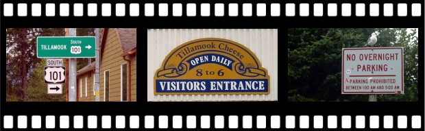 Tillamook Cheese