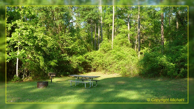 Mack Landing, Apalachicola NF, Sopchoppy, FL