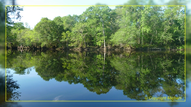 Mack Landing, Apalachicola NF, Sopchoppy, FL