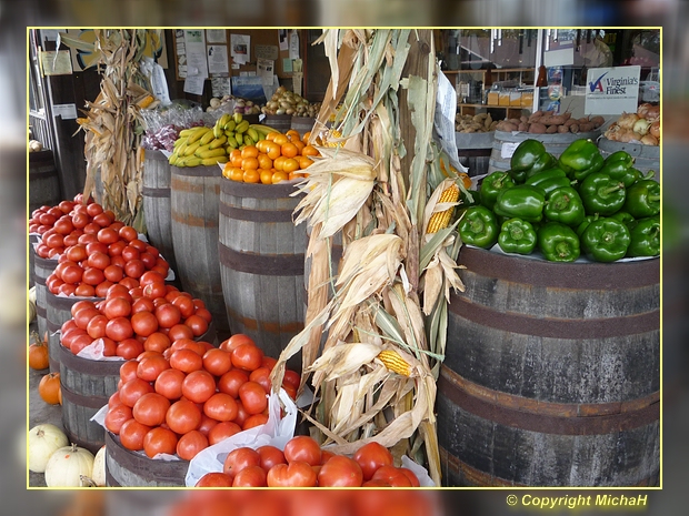 Old Fashion Country Store