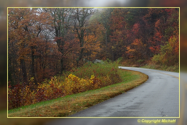 Fall Foliage