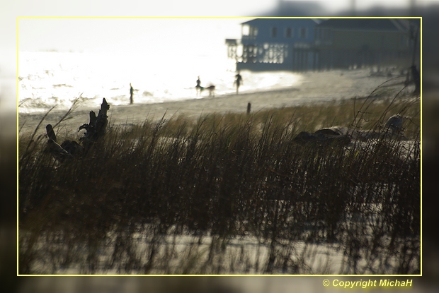 Dauphin Island Beach