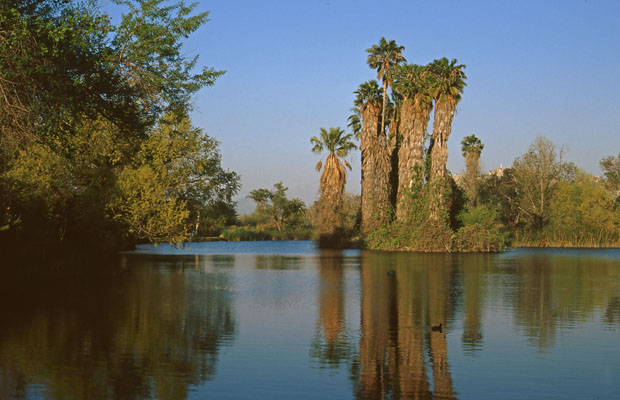 Rancho Jurupa Park, Campground, Riverside, California ...