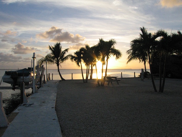 Calusa RV Resort, Campground, Key Largo, Florida | Womo ...