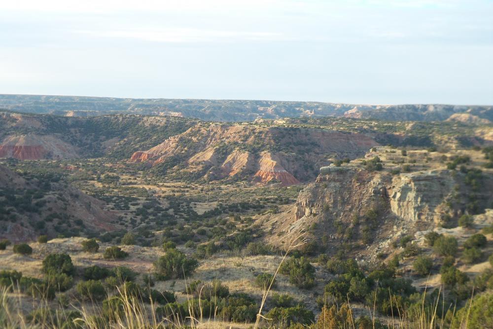 Palo Duro