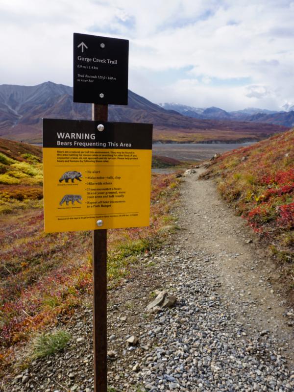 Eielson Visitor Center - Denali N.P./Alaska