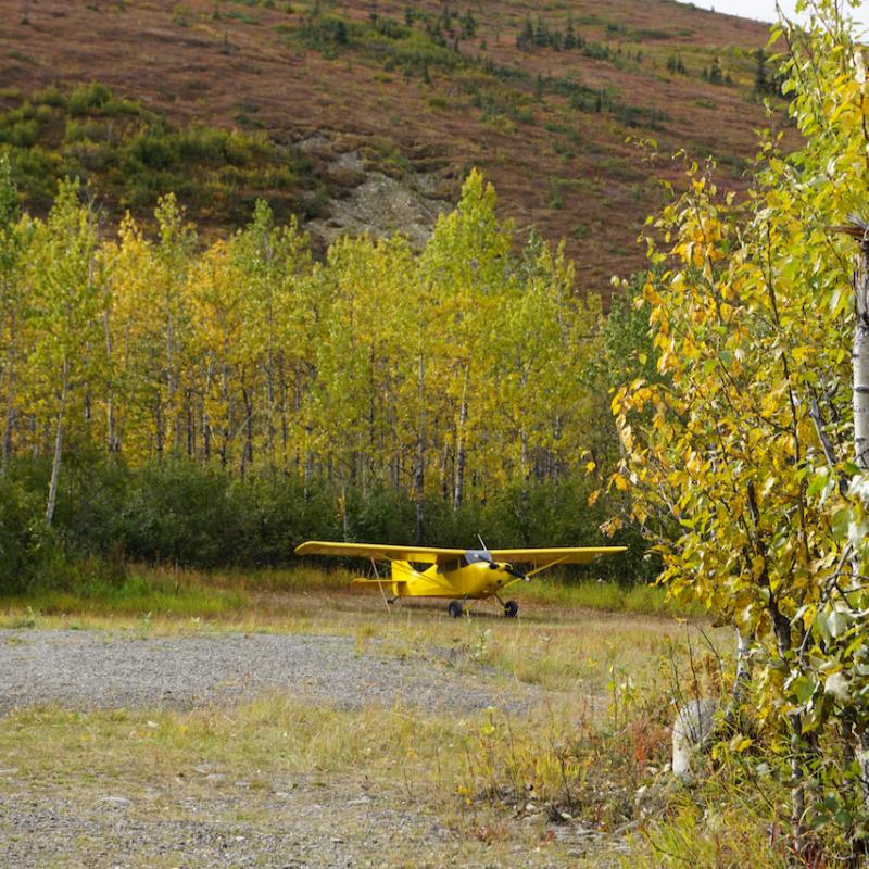 Kantishna - End of the Road - Denali N.P./Alaska