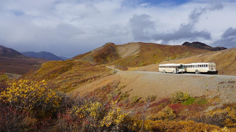 Denali N.P./Alaska