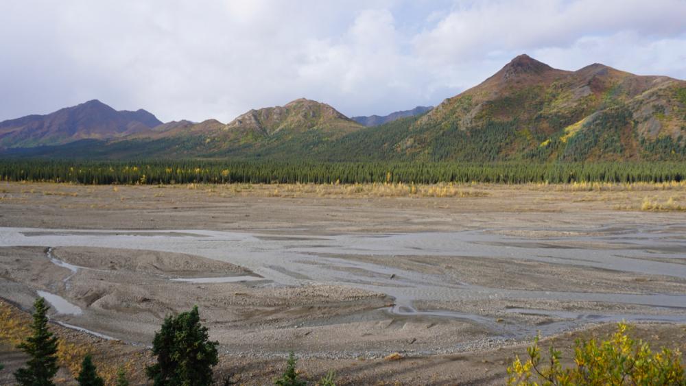 Denali N.P./Alaska