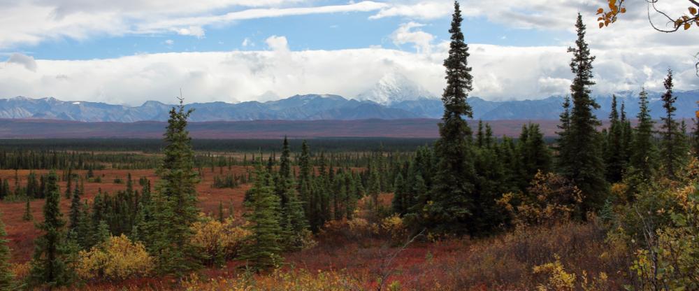 Yukon/Alaska 2017 - Denali N.P. - Wonderlake