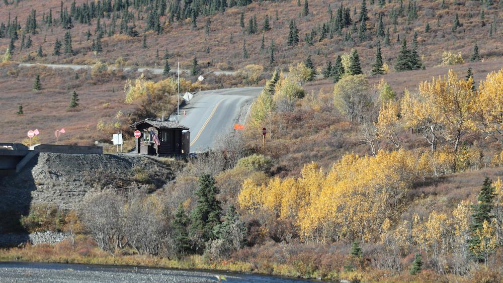 Savage River - Denali N.P./Alaska