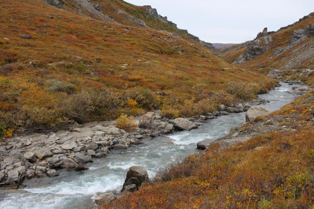 Savage River Loop Trail - Denali N.P./Alaska