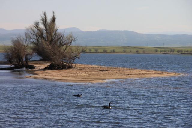 Woodward Reservoir Campground 4