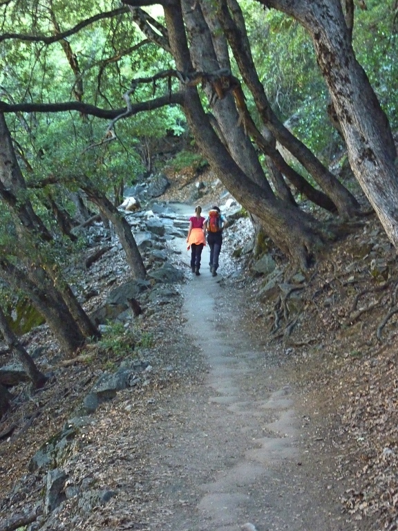 Weg zum Glacierpoint