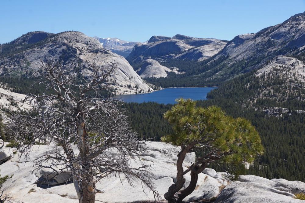 Tenaya Lake