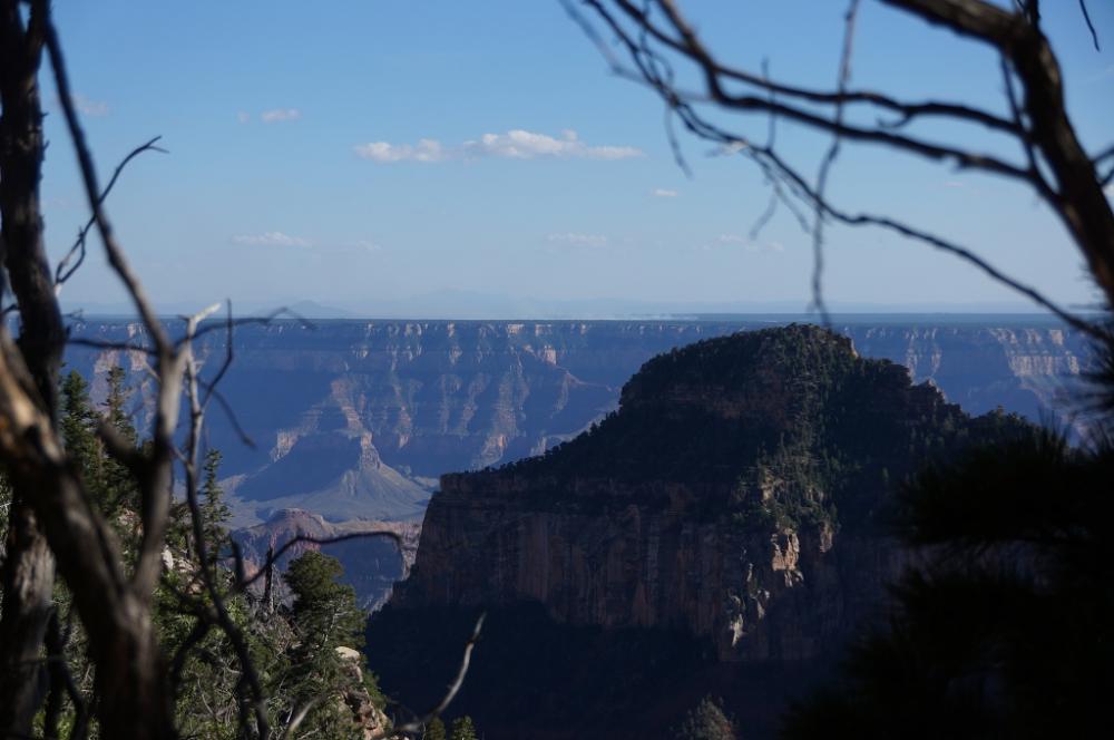 Canyon-Blick