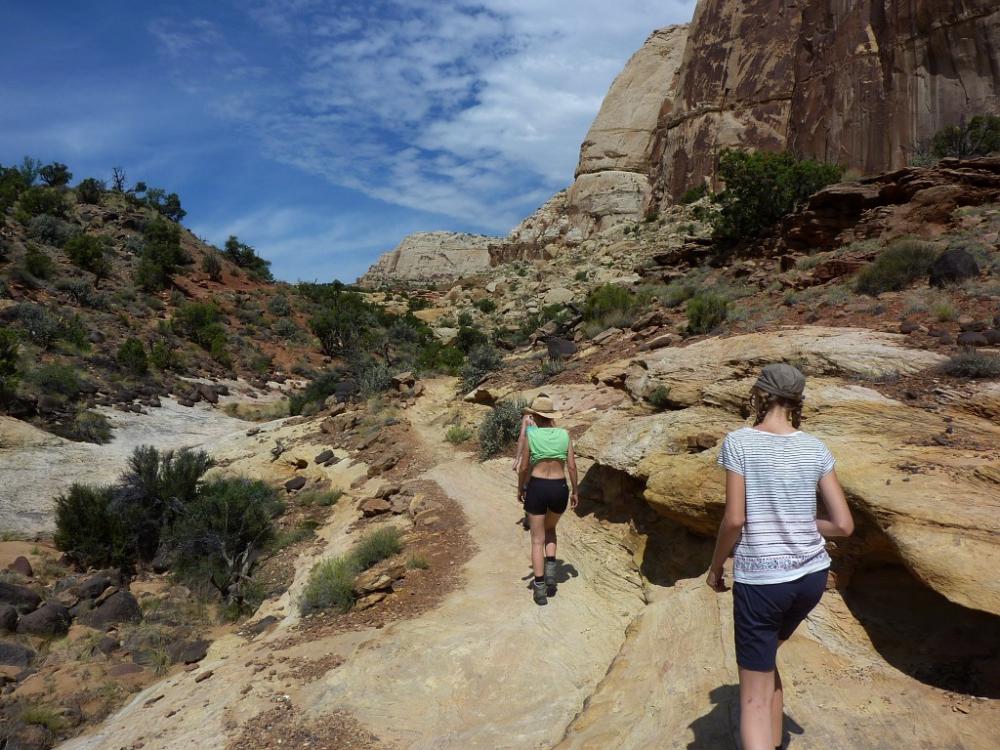 Rim Overlook Trail