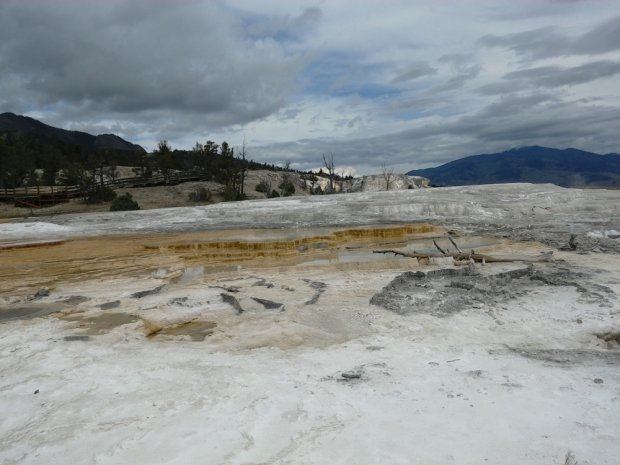 Mammoth Hot Springs