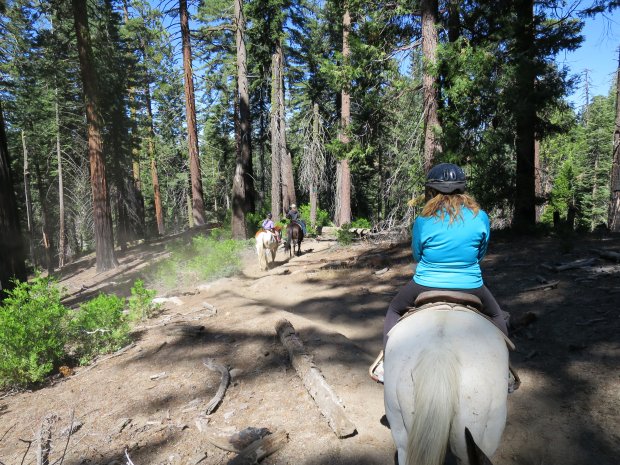 Reiten im Grant Grove Kings Canyon