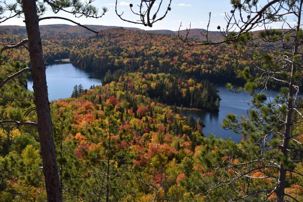 Rivière à La Pêche Campground La Mauricie National Park Québec