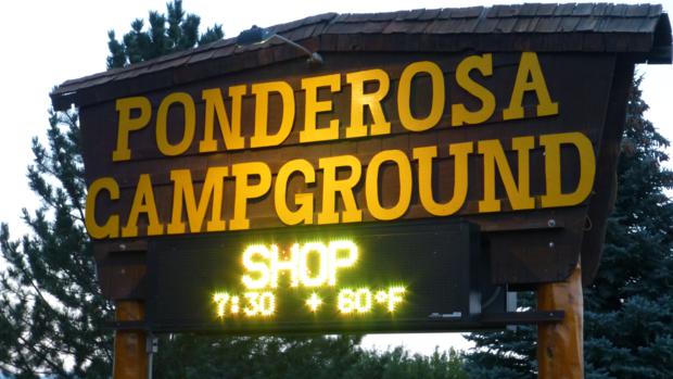 ponderosa