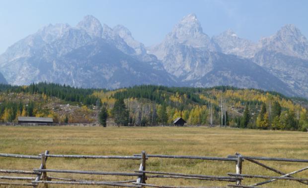 Teton